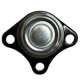 Muñon Fiat Palio Young 1.3 MPI Siena 1.6 del 1996 al 2002