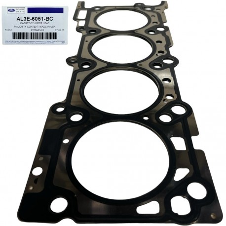 Empacadura de Camara Izquierda Ford Super Duty 6.2 F250 F350