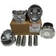 Juego de Piston Chery Orinoco Medida 020