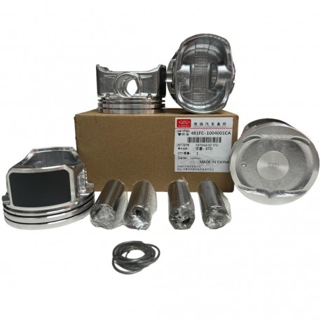 Juego de Piston Chery Orinoco Medida 020
