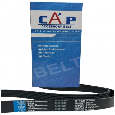 Correa Unica VW Fox Crosfox Spacefox 6PK1700