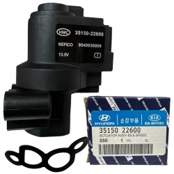 Valvula IAC Sensor minimo Elantra Getz Tucson