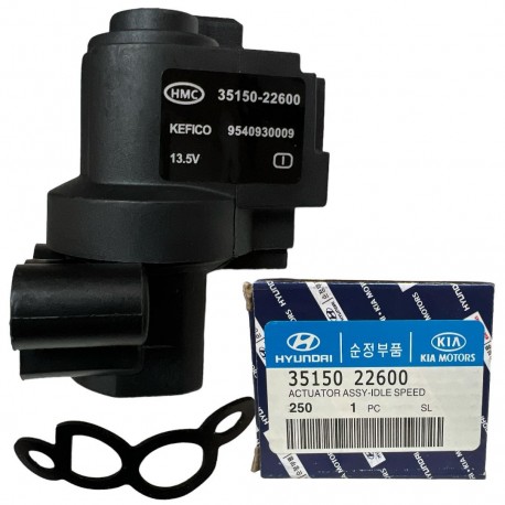 Valvula IAC Sensor minimo Elantra Getz Tucson