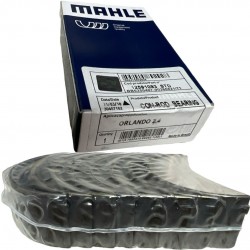 Concha de Biela Orlando Medida STD