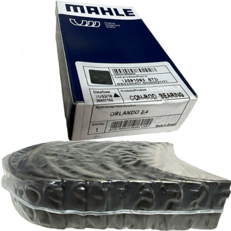 Concha de Biela Orlando Medida STD