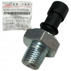 Valvula presion de Aceite Larga Chery Arauca X1 Orinoco