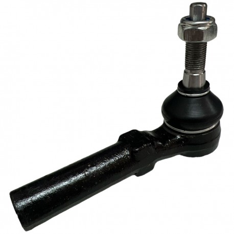 Terminal de Direccion Neon