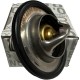 Termostato Renault Logan Megane Clio Symbol Cachimbo