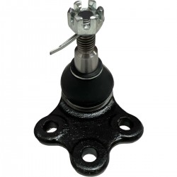 Muñon Inferior Captiva