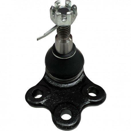 Muñon Inferior Captiva