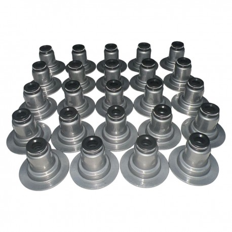 Goma de Valvula Captiva 3.2 24 Unidades