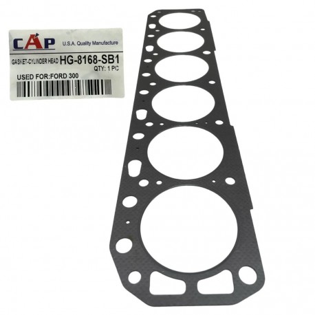 Empacadura de Camara Ford 300