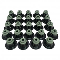 Goma de Valvula Epica