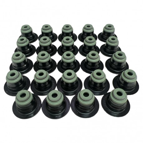 Goma de Valvula Epica