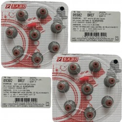 Goma de Valvula Renault Symbol Clio Megane Kangoo 16v