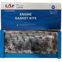 Juego De Empacadura Chery Arauca X1 CAP