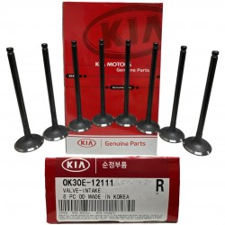 Valvula de Admision Kia Rio Stylus 1.5