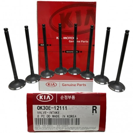 Valvula de Admision Kia Rio Stylus 1.5