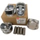 Juego de Piston Chery Orinoco Medida 020