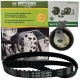 Kit Tiempo Corsa 1.8 Meriva Montana Palio Siena Strada 1.8