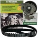 Kit Tiempo Meriva Montana Corsa 1.8