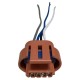 Conector de Bobina Corsa 4 pin