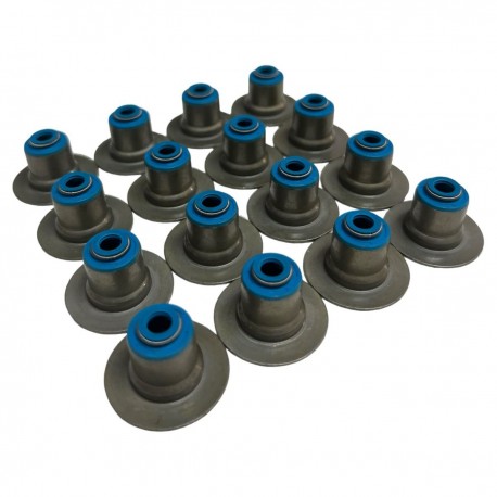 Goma De Valvula Grand Cheroke 4.7 Cheroke 3.7 16 Unidades