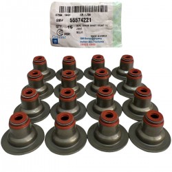 Goma Valvula Chevrolet Cruze