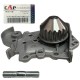 Bomba de agua Renault Logan Clio Kangoo Symbol 1.4