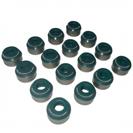 Goma de Valvula Renault Twingo 16V