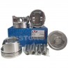 Juego de Piston Corsa 1.4 Medida STD