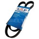 Correa Unica Orlando 2.4 5PK1030