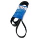 Correa Unica Camion JAC 1061 8pk1800