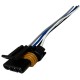 Conector de Bobina Renault Twingo Logan