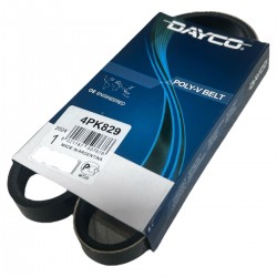 Correa Aire Acondicionado Getz Elantra 1.6 Sentra B13 B14 4p