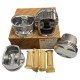 Juego de Piston Chery Orinoco Medida 020