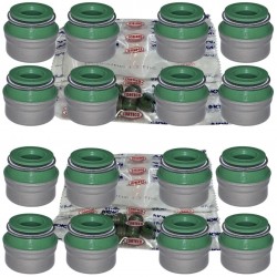 Goma Valvula Fiat Palio Siena 1.3 16v