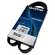 Correa de Alternador Rio Sephia Accent Getz 4pk895