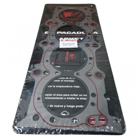 Empacadura de Camara Gran Vitara 2.0