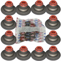 Goma de Valvula Explorer Ranger 4.0