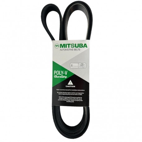 Correa Del Altern Elantra Accent Getz 4pk875