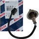 Polea Correa de tiempo Renault Clio Megane Symbol 1.6 16 v
