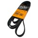 Correa Unica Fiesta Move Power Max Ford Ka Ecosport 6pk2246
