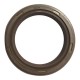 Estopera Cigueñal Delantero Renault Clio Logan Symbol Megane