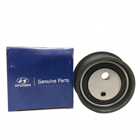 Tensor Correa De Tiempo Tucson Elantra 2.0